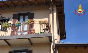 Luino: nutria intrappolata in un balcone, salvata dai Vigili del Fuoco