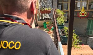 Luino: nutria intrappolata in un balcone, salvata dai Vigili del Fuoco