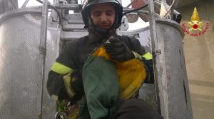 Pappagallo “scappa” da casa, salvato dai Vigili del Fuoco
