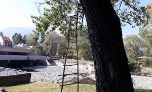 Domani l’inaugurazione di “Arte e natura”: a Maccagno esposte dodici opere collettive di land art