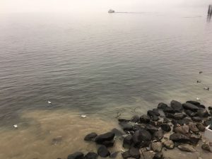Ennesimo sversamento nel lago a Luino, "Acque sporche e odore nauseante"