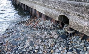 Luino, ancora uno sversamento di acque sporche sulle rive del Porto Nuovo