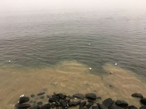 Ennesimo sversamento nel lago a Luino, "Acque sporche e odore nauseante"