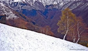 Veddasca, scende la neve a Monterecchio. Imbiancato anche il monte Cadrigna