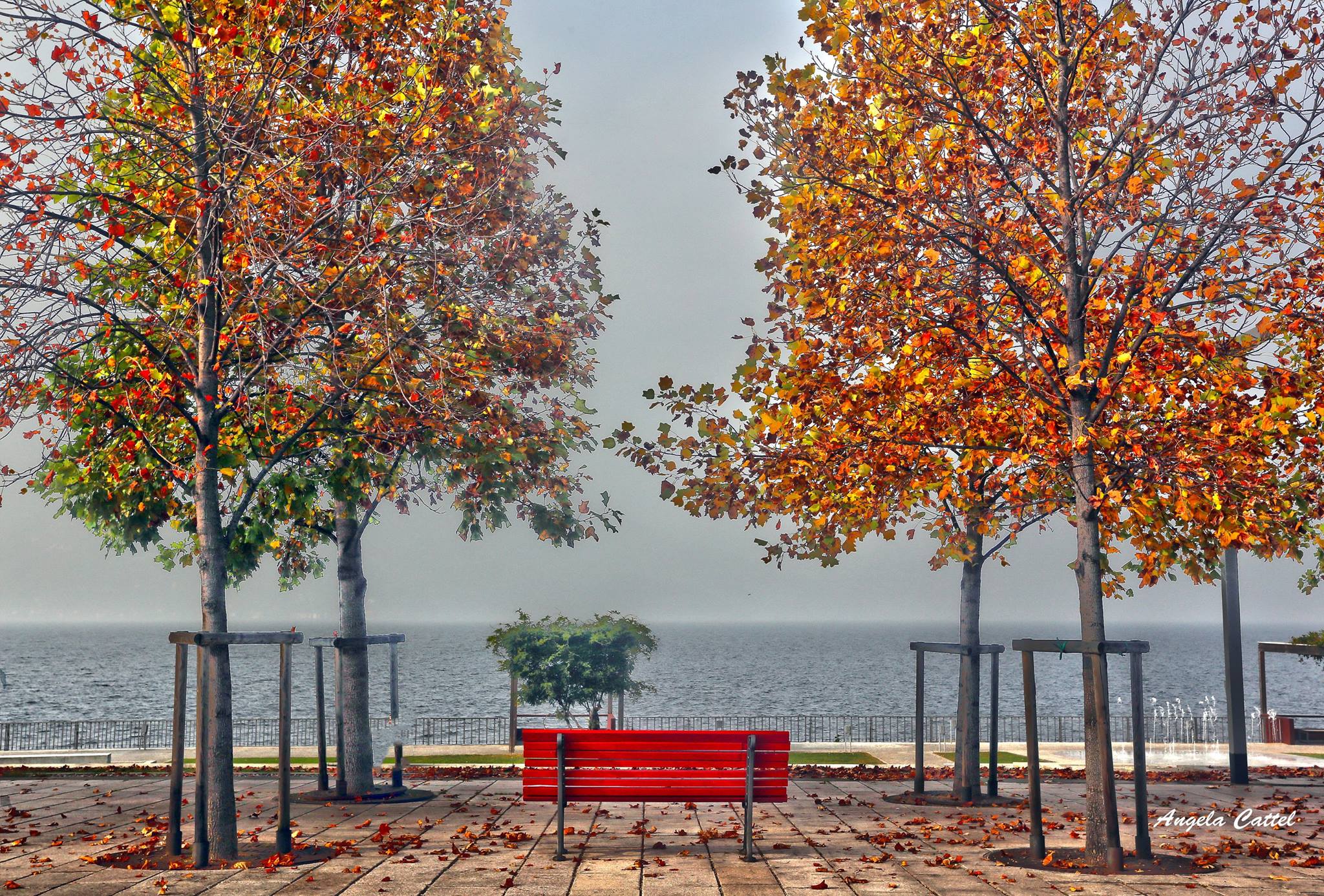 La malinconia dell'autunno in riva al lago. La foto è di Angela Cattel
