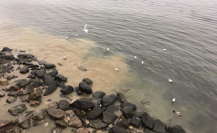 Ennesimo sversamento nel lago a Luino, 