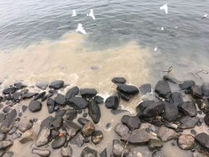 Ennesimo sversamento nel lago a Luino, "Acque sporche e odore nauseante"