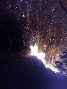 In fiamme un bosco di Valganna, il sindaco Jardini: "Incendio doloso"