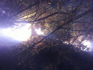In fiamme un bosco di Valganna, il sindaco Jardini: "Incendio doloso"