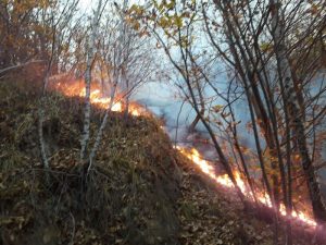 In fiamme un bosco di Valganna, il sindaco Jardini: "Incendio doloso"