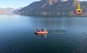 Un capriolo finisce nel lago Ceresio a Lavena Ponte Tresa