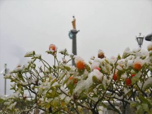 La neve trasforma il paesaggio, in Forcora caduti 20cm circa. Sulle strade in azione gli spalaneve