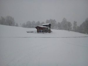 La neve trasforma il paesaggio, in Forcora caduti 20cm circa. Sulle strade in azione gli spalaneve