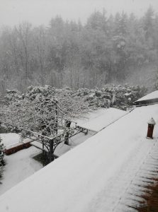 Torna la neve anche a bassa quota sull'Alto Varesotto, 30cm circa in Veddasca