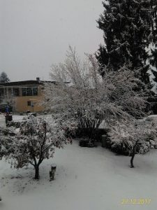 Torna la neve anche a bassa quota sull'Alto Varesotto, 30cm circa in Veddasca