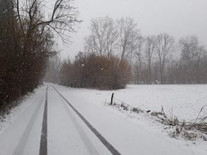 Neve e freddo gelido avvolgono l'Alto Varesotto, anche a bassa quota