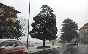Neve e freddo gelido avvolgono l'Alto Varesotto, anche a bassa quota