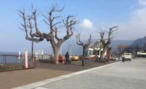 Luino, piazza Libertà si rifà il look. Al via lavori anche tra Hotel Ancora e Caffè Clerici