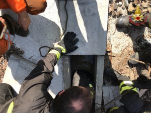 Maccagno con Pino e Veddasca, i vigili del fuoco salvano un cane. Era rimasto incastrato