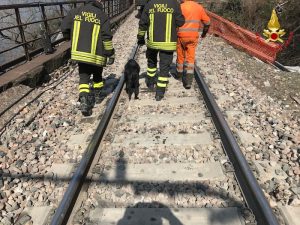 Maccagno con Pino e Veddasca, i vigili del fuoco salvano un cane. Era rimasto incastrato