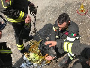 Maccagno con Pino e Veddasca, i vigili del fuoco salvano un cane. Era rimasto incastrato