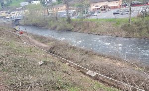 Cremenaga, ripulito l'argine del Tresa grazie ai volontari della Protezione Civile