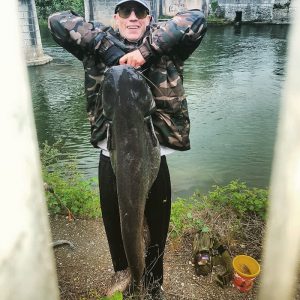 Luino, un luccio da 60kg nel fiume Tresa