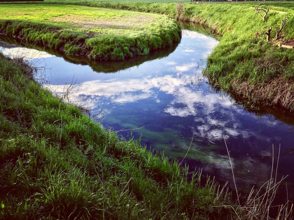 Riflessi della natura ai Premaggi, la foto è di Samuele Dall'Asta