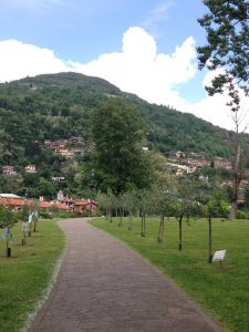 Maccagno, oltre 150 ragazzi alla "Festa degli Alberi"