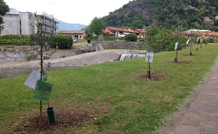 Maccagno, oltre 150 ragazzi alla 