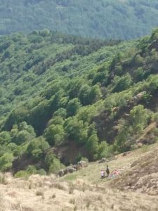 Incidente sul Monte Lema, interviene l'elisoccorso