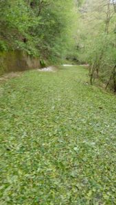 Crollata la strada tra Cremenaga e Biviglione. Si contano i danni anche a Germignaga