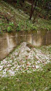 Crollata la strada tra Cremenaga e Biviglione. Si contano i danni anche a Germignaga
