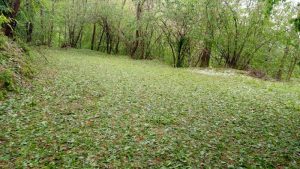 Crollata la strada tra Cremenaga e Biviglione. Si contano i danni anche a Germignaga