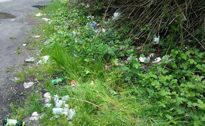 Da Luino a Dumenza rifiuti a bordo strada,