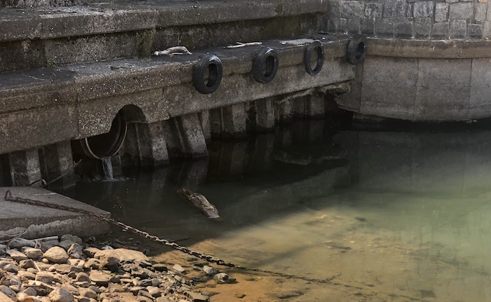 Ancora sversamenti nel lago a Luino, liquami della fogna al Porto Lido