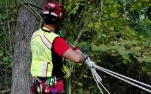 Cade per trenta mentre in un burrone di Dumenza, 74enne salvato