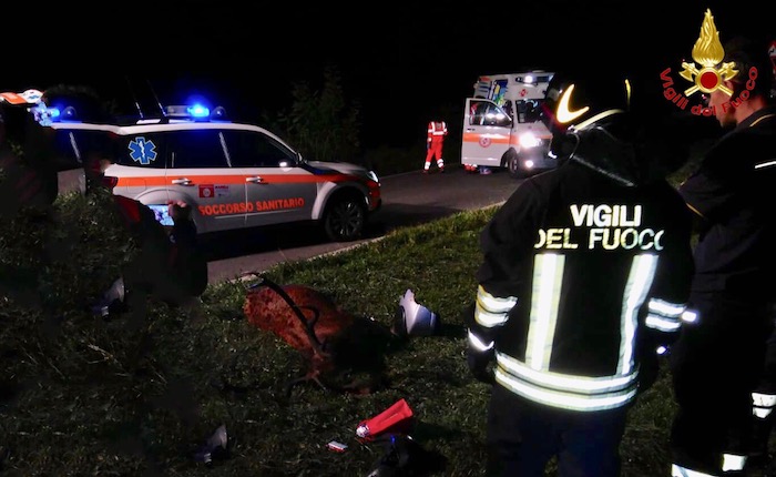 Scooter contro un cervo a Cassano Valcuvia, 42enne in Pronto Soccorso. Morto l'animale