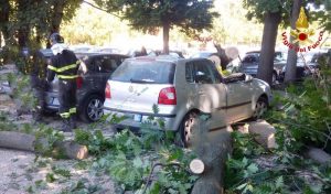Il vento forte si abbatte sul territorio, a Varese un albero rovina su alcune auto danneggiandole