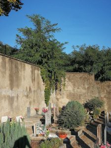 Ancora problemi a Colmegna, "Cimitero sporco, cadono pezzi di intonaco"