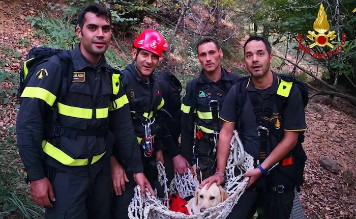 Valganna, labrador precipita in una grotta per 30 metri. I vigili del fuoco gli salvano la vita