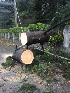 Maltempo, quasi cento interventi nella notte. Strade bloccate, danni e allagamenti