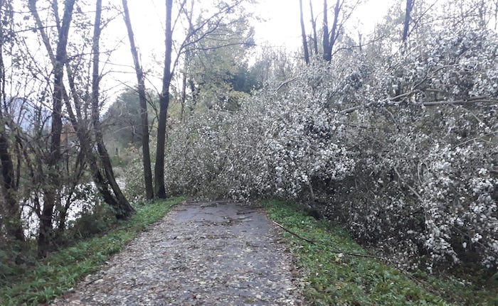Il maltempo blocca anche la pista ciclabile, alberi tra Mesenzana e Cassano Valcuvia