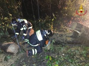 Maltempo, quasi cento interventi nella notte. Strade bloccate, danni e allagamenti