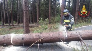 Maltempo, in 24 ore oltre 200 interventi da parte dei vigili del fuoco