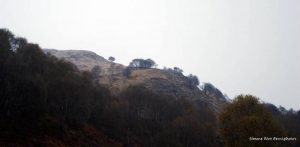Arriva la neve in Forcora, caduti i primi fiocchi
