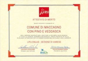 Lipu, premio a Maccagno con Pino e Veddasca per la tutela a rondini, rondoni e balestrucci
