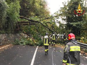 Maltempo: alberi sulla statale tra Maccagno e Zenna, strada bloccata