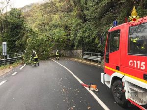 Maltempo: alberi sulla statale tra Maccagno e Zenna, strada bloccata