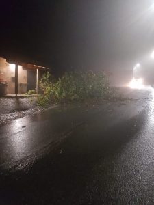 Montegrino, il sindaco: "Un grazie ai vigili del fuoco, instancabili nei loro interventi"